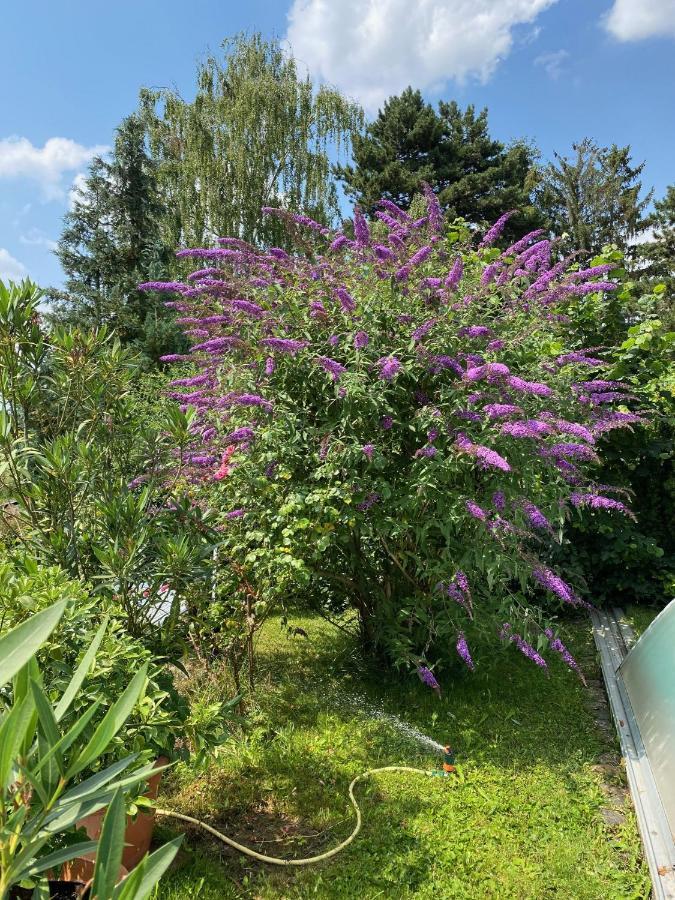 Apartament Blaues Haus Niederdorfelden Zewnętrze zdjęcie